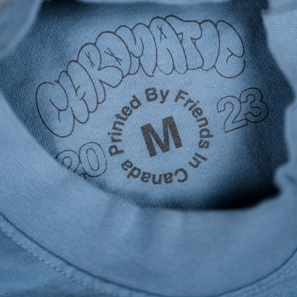 I WASH MY CAR TEE