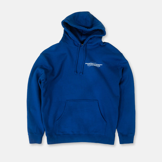 Cars For Dummies Hoodie